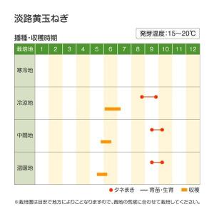 国華園 種 野菜たね タマネギ (晩生)淡路黄...の詳細画像2
