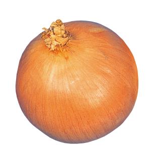 国華園 種 野菜たね タマネギ (晩生)淡路黄...の詳細画像1