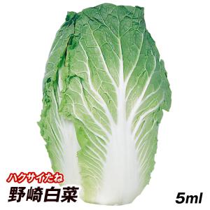 種 野菜たね ハクサイ 野崎白菜 1袋（5ml） 白菜 野菜の種 国華園