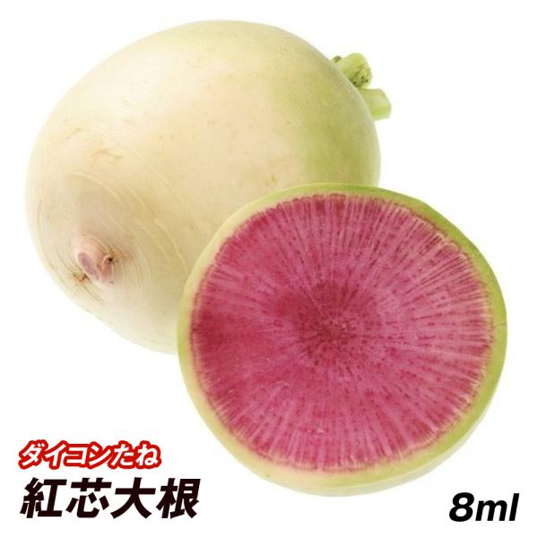 種 野菜たね ダイコン 紅芯大根 1袋（8ml）こうしんだいこん 大根 野菜の種 国華園