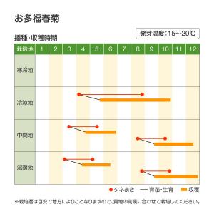国華園 種 野菜たね 春菊 お多福春菊 1袋(...の詳細画像1