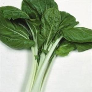 国華園 種 野菜たね 菜類 雪白体菜 （杓子菜） 1袋（8ml） せっぱくたいさい しゃくしな やさいの種