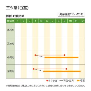 国華園 種 野菜たね 菜類 三ツ葉 白茎 1袋...の詳細画像1