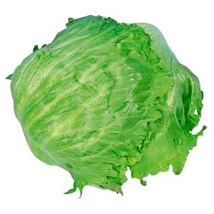 国華園 種 野菜たね レタス グレートレーク ...の詳細画像1