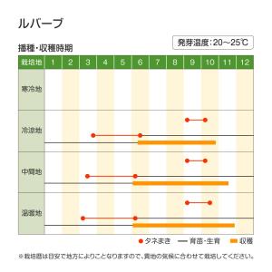 国華園 種 野菜たね ハーブ ルバーブ 1袋(...の詳細画像1