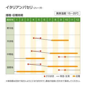 国華園 種 野菜たね ハーブ イタリアンパセリ...の詳細画像1