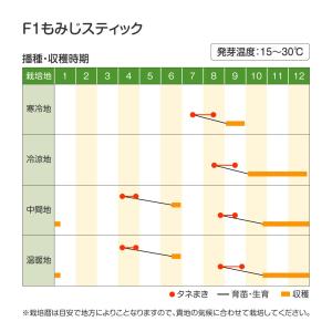国華園 種 野菜たね ダイコン F1もみじステ...の詳細画像2