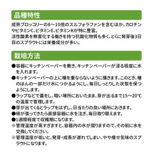 種 野菜たね ブロッコリースプラウト 1袋(4...の詳細画像4