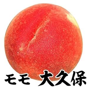 果樹苗 モモ 大久保 1株...