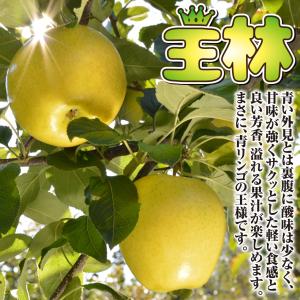 国華園 果樹苗 リンゴ 王林 1株の詳細画像3