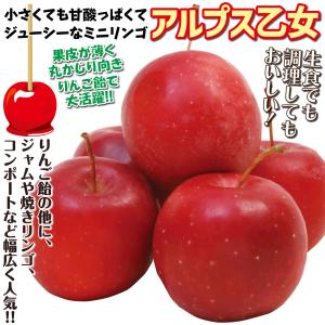 国華園 果樹苗 リンゴ アルプス乙女 1株の詳細画像3
