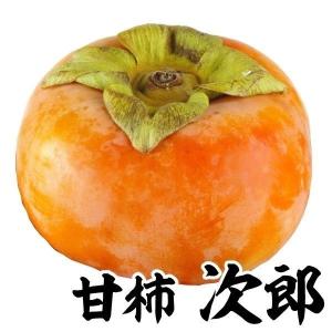 果樹苗 甘柿 次郎(完全甘柿) 1株