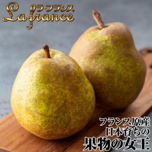 国華園 果樹苗 ナシ 洋梨 ラ・フランス 1株の詳細画像3
