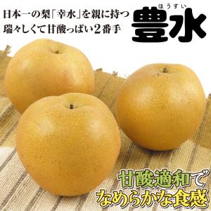 国華園 果樹苗 ナシ 豊水 1株の詳細画像3