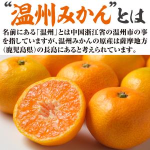 国華園 カンキツ苗 温州みかん 宮川早生 1株...の詳細画像3