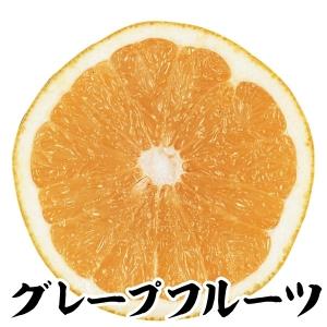 グレープフルーツ苗木の商品一覧 通販 Yahoo ショッピング