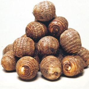 里いも種芋 大野 イモ1kg / 里芋 里いも 里イモ さといも 種芋 タネイモ 家庭菜園 自家菜園 美味しい グルメ 最高級 絶品 モチモチ おおのいも