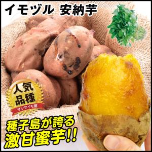 イモヅル(芋づる) 安納芋イモヅル 300本 / さつまいも...