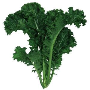 からし菜 種 野菜たね 健康野菜 ちりめん葉から...の商品画像