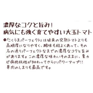 種 野菜たね 大玉トマト F1こくうまパーフェ...の詳細画像4