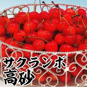 サクランボ 紅秀峰 スーパー6（矮性台/コルトシックスR） 1株 果樹苗
