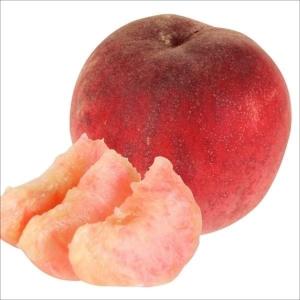 国華園 果樹苗 モモ 昂紀PVP (富士野生桃R...の商品画像