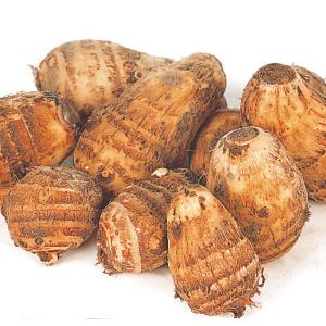 里いも種芋 女早生1kg : 花と緑 国華園 - 通販 - Yahoo!ショッピング