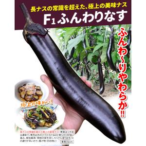 種 野菜たね ナス F1ふんわりなす 1袋(1...の詳細画像1