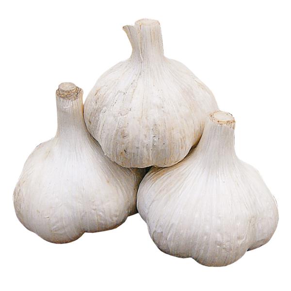 国華園 ニンニク 種球 博多八片ニンニク 種球 1kg / にんにくの種 ガーリック 家庭菜園 家庭...