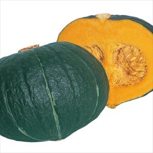 国華園 種 野菜たね 秋どり野菜 カボチャ F1かぼちゃ大福 1袋（4ml） 南瓜 やさいの種