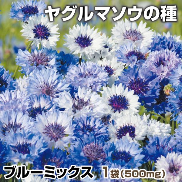 花種 花たね 矢車草 ブルーミックス  1袋（500mg）