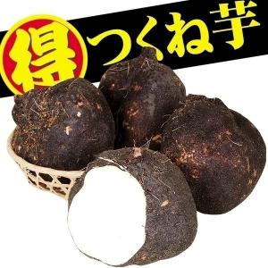 じゃがいも種芋 レッドムーン 3kg : 花と緑 国華園 - 通販 - Yahoo