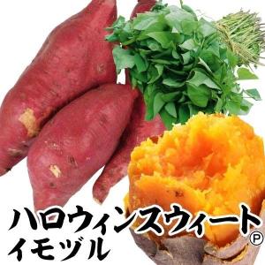 イモヅル(芋づる) ハロウィンスイートPイモヅル 25本 /...