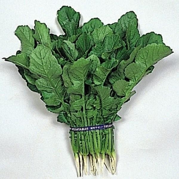 菜類 種 野菜たね 健康野菜 つまみ葉大根 1袋（10ml） やさいたね 国華園 こっかえん