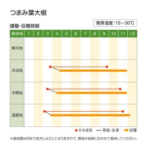 種 野菜たね 健康野菜 つまみ葉大根 1袋(8...の詳細画像1