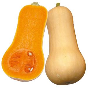種 野菜たね カボチャ F1豊産ナッツ 1袋(8...の商品画像