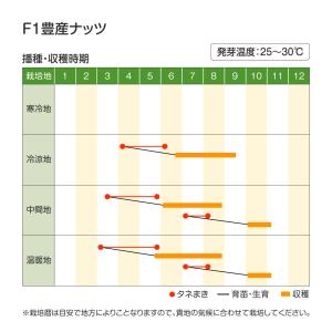 種 野菜たね カボチャ F1豊産ナッツ 1袋(...の詳細画像2