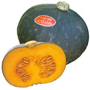 種 野菜たね カボチャ F1くりりん 1袋（9粒） やさいの種 国華園