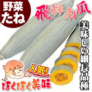 種 野菜たね カボチャ 飛騨かぼちゃ 1袋(8...の詳細画像1