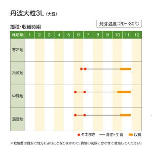 種 野菜たね 大豆 丹波大粒3L 1袋(約30...の詳細画像4