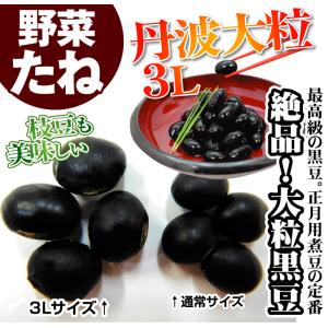 種 野菜たね 大豆 丹波大粒3L 1袋(約30...の詳細画像1