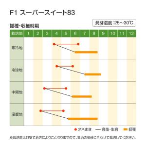 種 野菜たね トウモロコシ F1スーパースイー...の詳細画像3