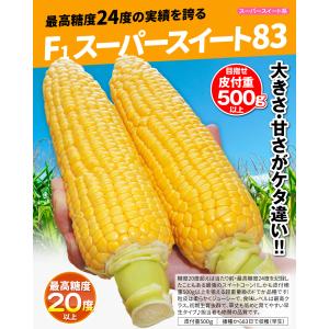 種 野菜たね トウモロコシ F1スーパースイー...の詳細画像1
