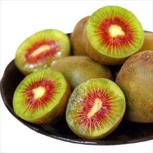 キウイ 苗木 【キウイ2品種 受粉相性OKセット 紅妃 × 早雄】 1年生