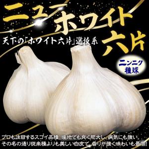 国華園 ニンニク 種球 ニューホワイト六片 5...の詳細画像2