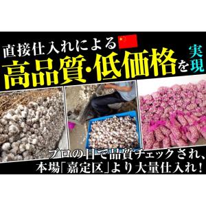 国華園 ニンニク 種球 嘉定ニンニク (種球)...の詳細画像4