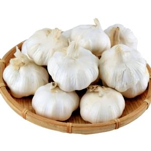 国華園 ニンニク 種球 ホワイトニンニク (種球) (中国産) 20kg / にんにくの種 ガーリック 家庭菜園 家庭栽培 ニンニクの芽 芽ニンニク ホワイト 安い