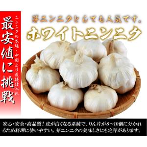 国華園 ニンニク 種球 ホワイトニンニク (種...の詳細画像1