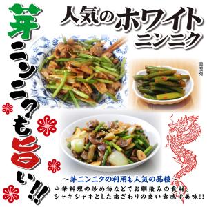 国華園 ニンニク 種球 ホワイトニンニク (種...の詳細画像2