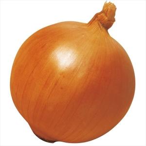 国華園 種 野菜たね タマネギ （中晩生）F1つり玉パーフェクト 1袋（4ml） 玉葱 玉ねぎ やさいの種 爆買